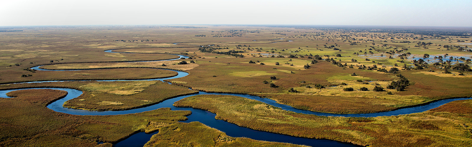 View of a lush landscape in Botswana. Rivers are meandering and flowing throughout.