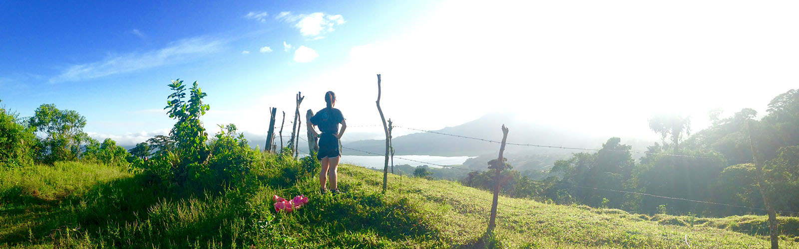 A student is at a hilltop viewpoint and looking out at the lush greenery around them