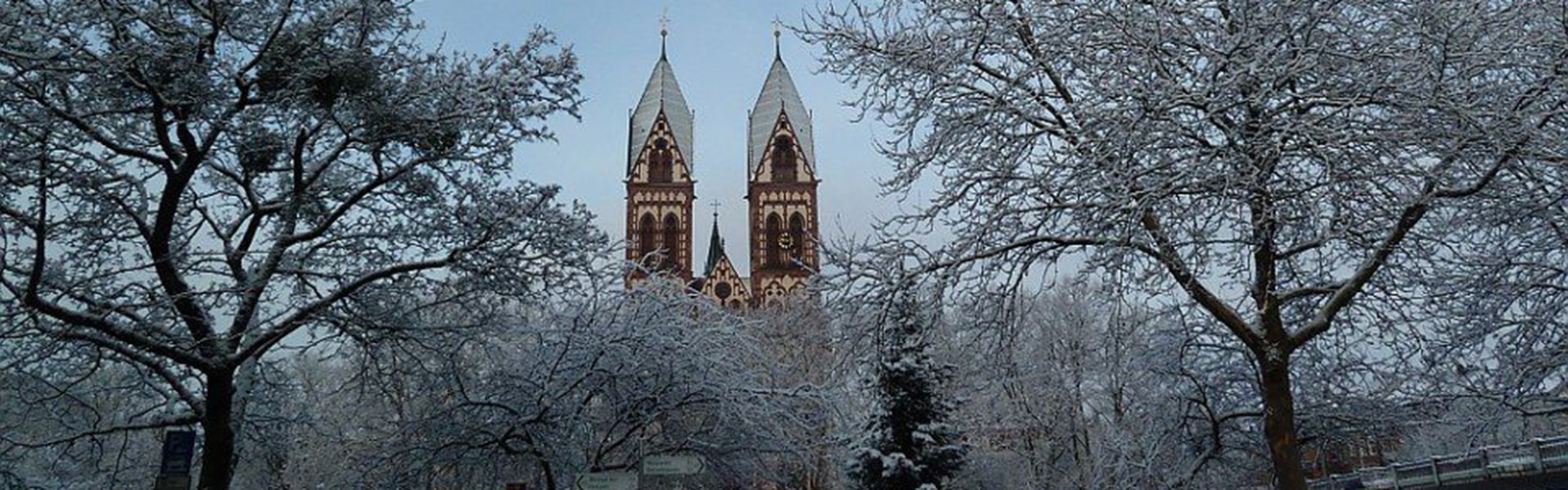 Snow covered trees with a large cathedral in the background. The cathedral has two spires and intricate detailing.