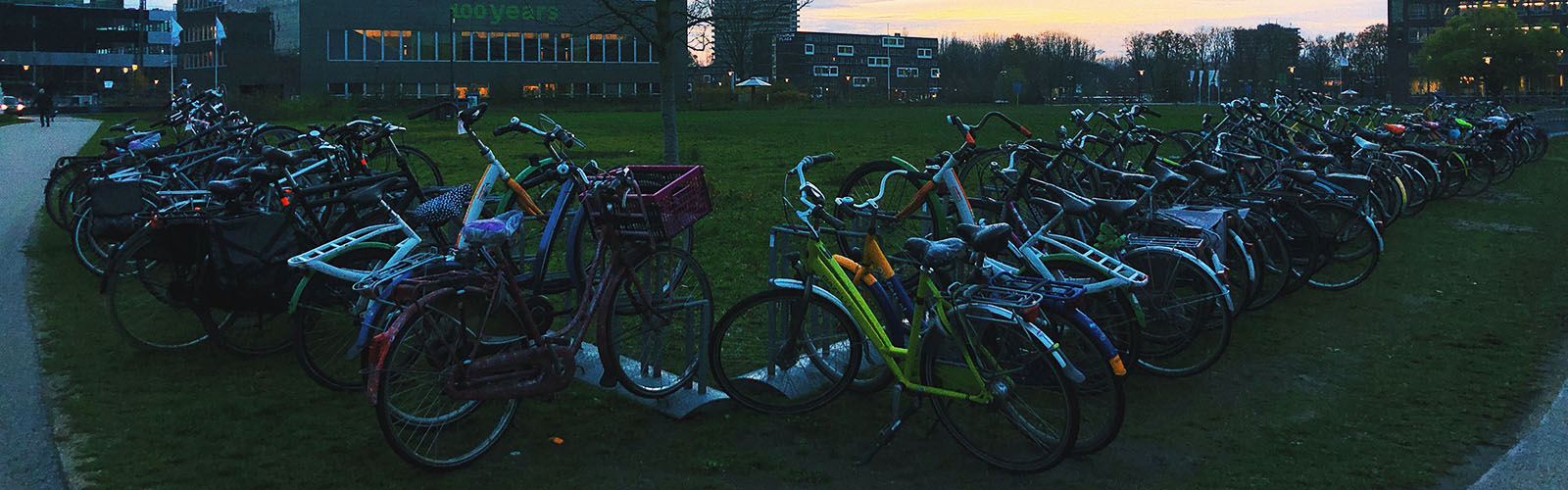 Hundreds of different colored bikes are lined up in an "L" shape on a grassy patch. 