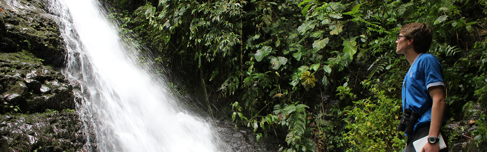 An individual standing in front of a small waterfall, surrounded by tropical tropical vegetation.