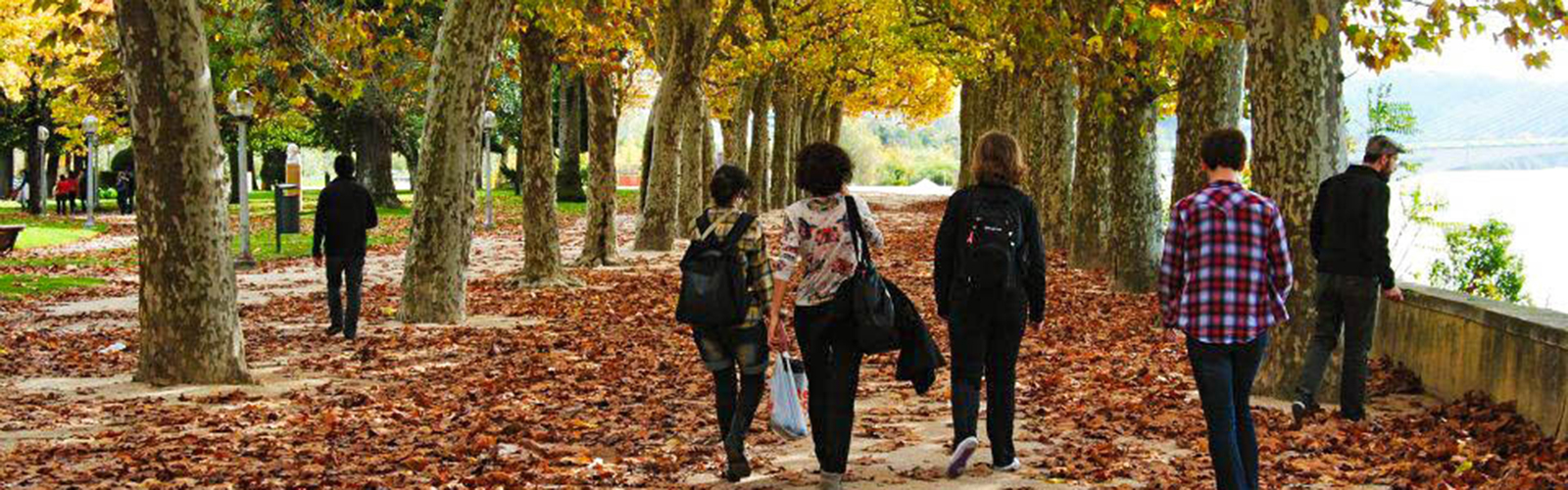 Students walking on a tree-lined, leaf-covered path along a river.