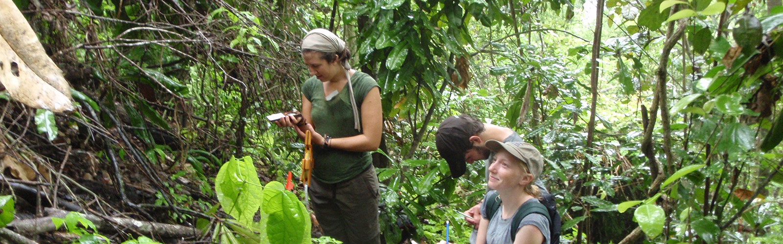 Students are working together in the forest. Some are kneeling while others are standing. They are concentrated on their work on the ground.