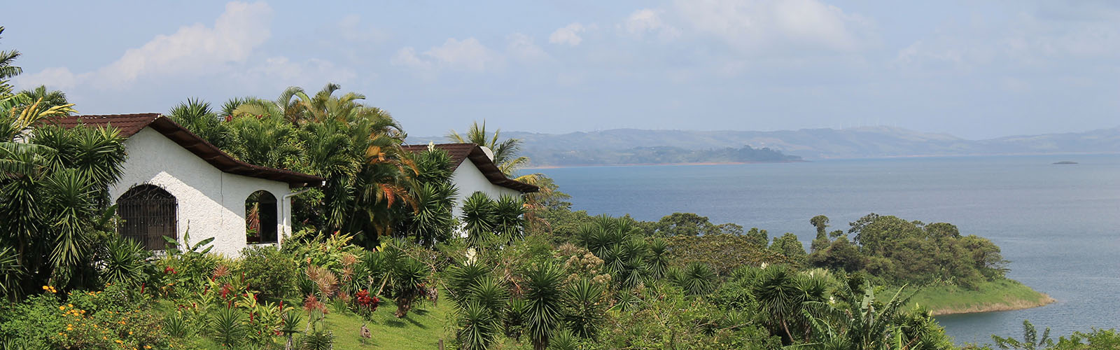 Two houses are on the edge of the water. They are surrounded in vibrant greenery.