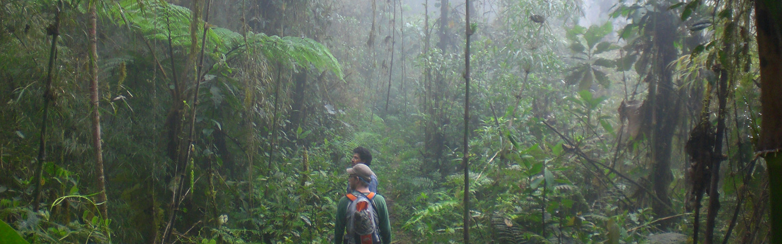 Ecuador, Multiple, UW Ceiba Rainforest and Coral Reefs FIG Field Expedition