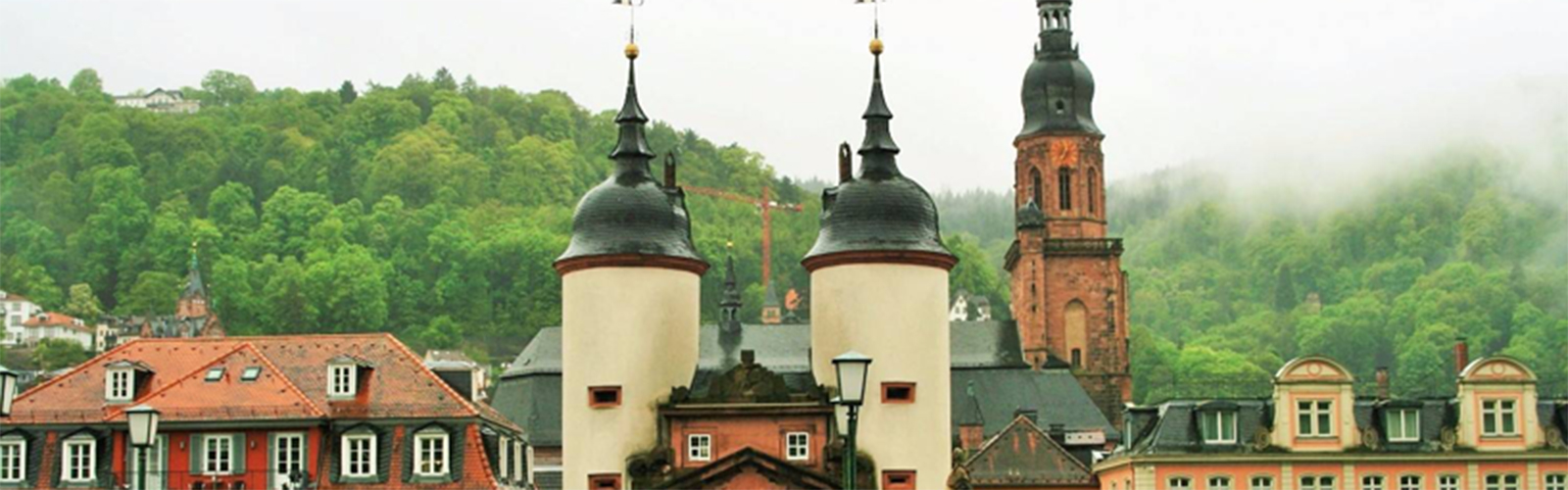 Skyline view featuring residential areas and a cathedral in the foreground with a vast hill of greenery in the background.