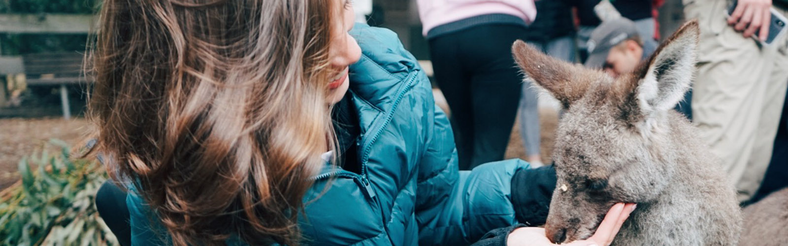A student is holding the face of a young kangaroo. They are looking away from the camera.