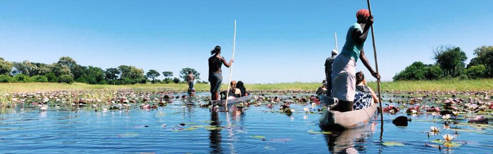 Students are in a pond on rowboat surrounded by flamingos
