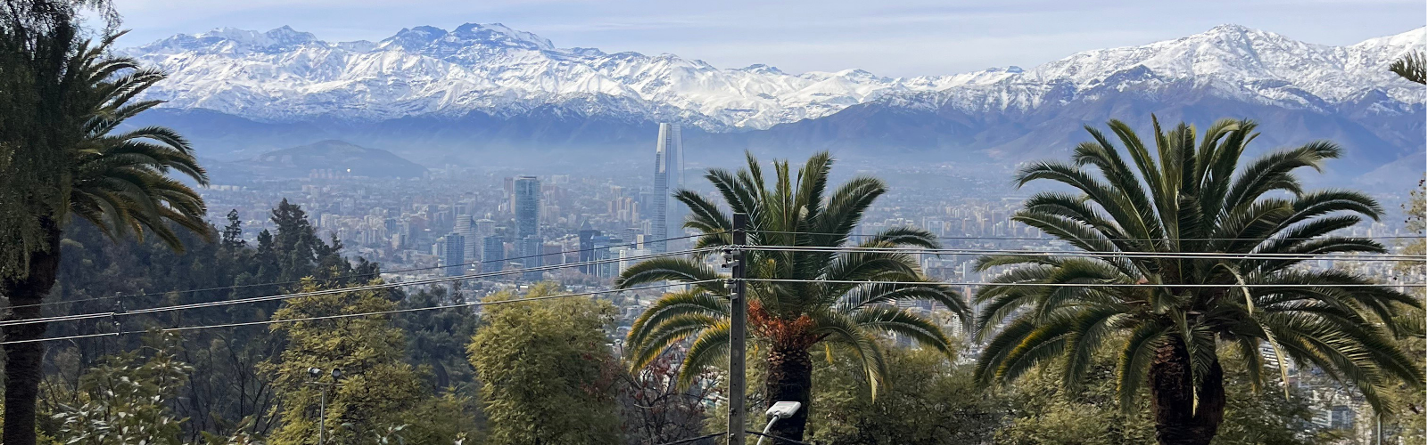 Panoramic view of Santiago, Chile, with towering palm trees in the foreground and snow-capped mountains in the background under a clear blue sky.