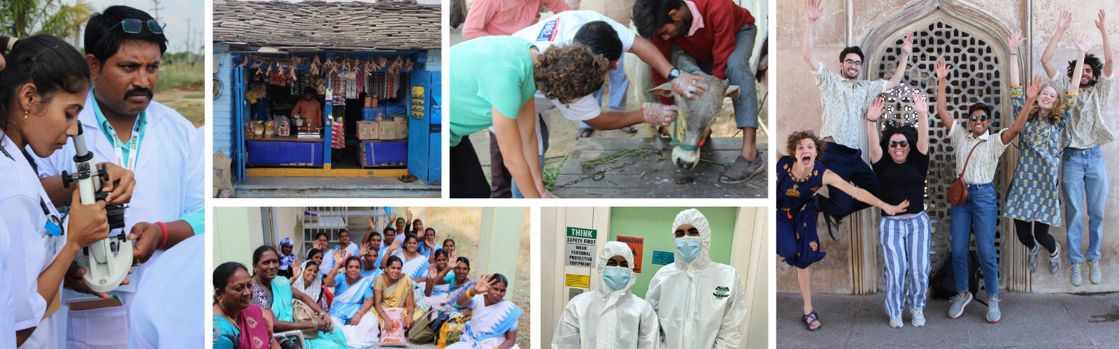 A collage of images of students working in the health field, including looking in a microscope and helping citizens. 
