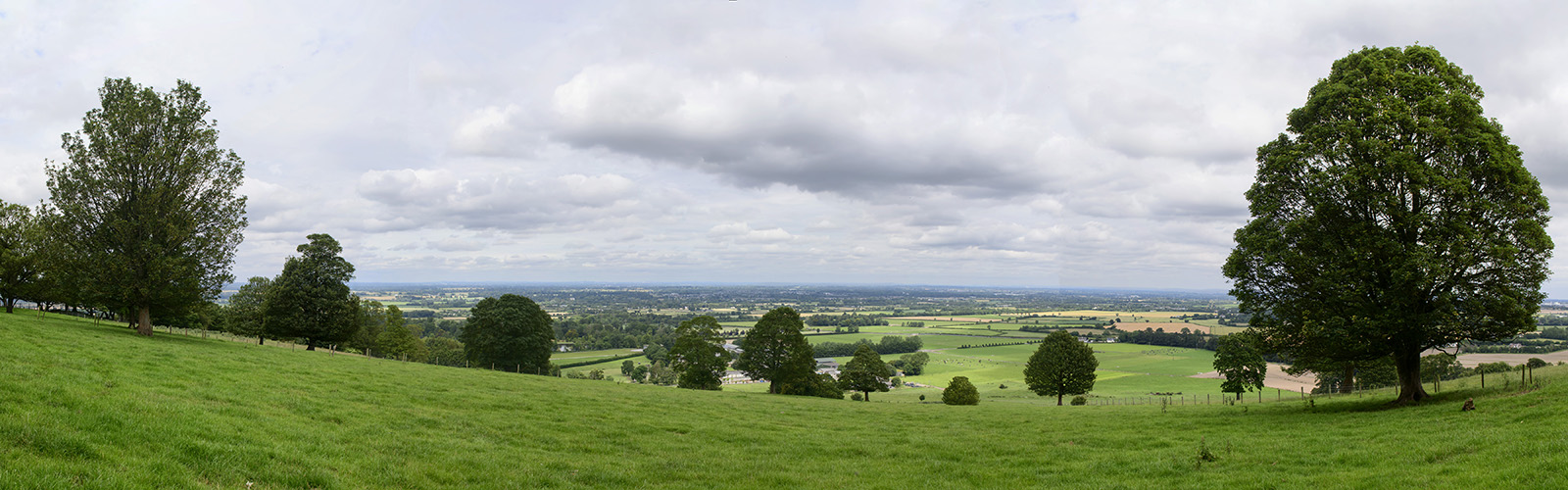 A field sloping downwards with a few trees visible. 