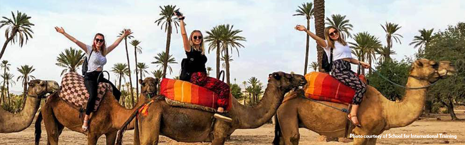 Three individuals riding camels in a sandy landscape with palm trees behind them.