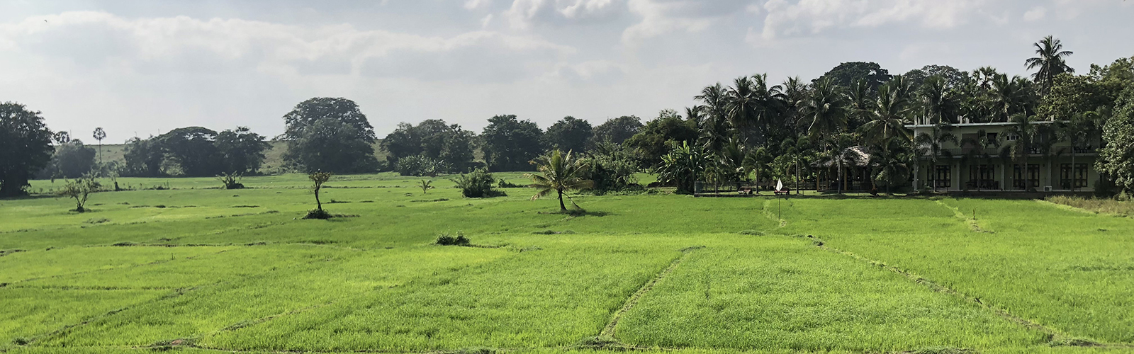Grassy farmland, surrounded by trees, with a large house near the edge.