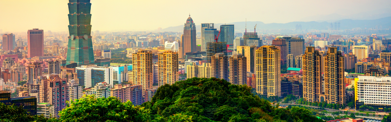 Taipei's modern skyline, viewed from a hill.