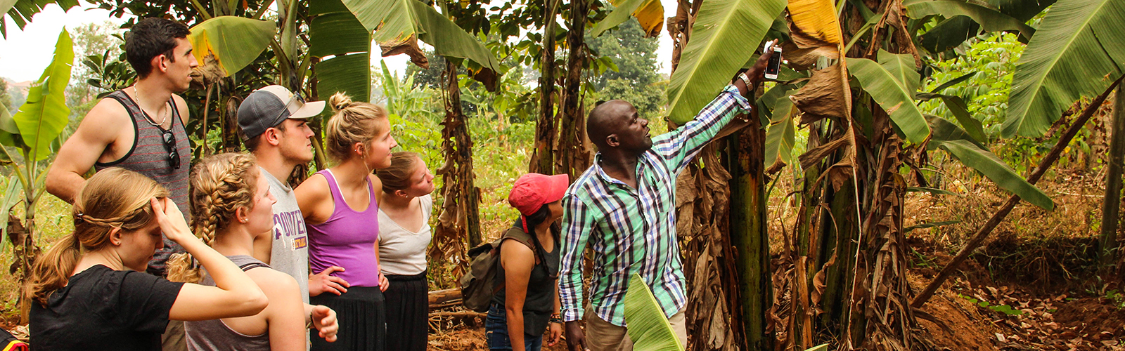 Seven students being led by a guide through a grove of trees.